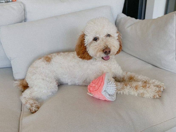 Tall Tails Oyster with Pearl Dog Toy - 5"