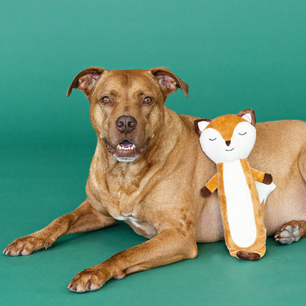 For Fox Sake Dog Toy