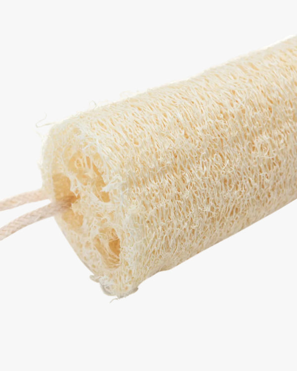 A natural beige loofah sponge with a cotton rope hanger against a white background.