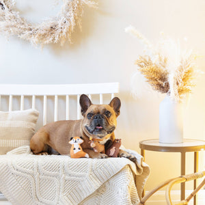Critters Dog Pack