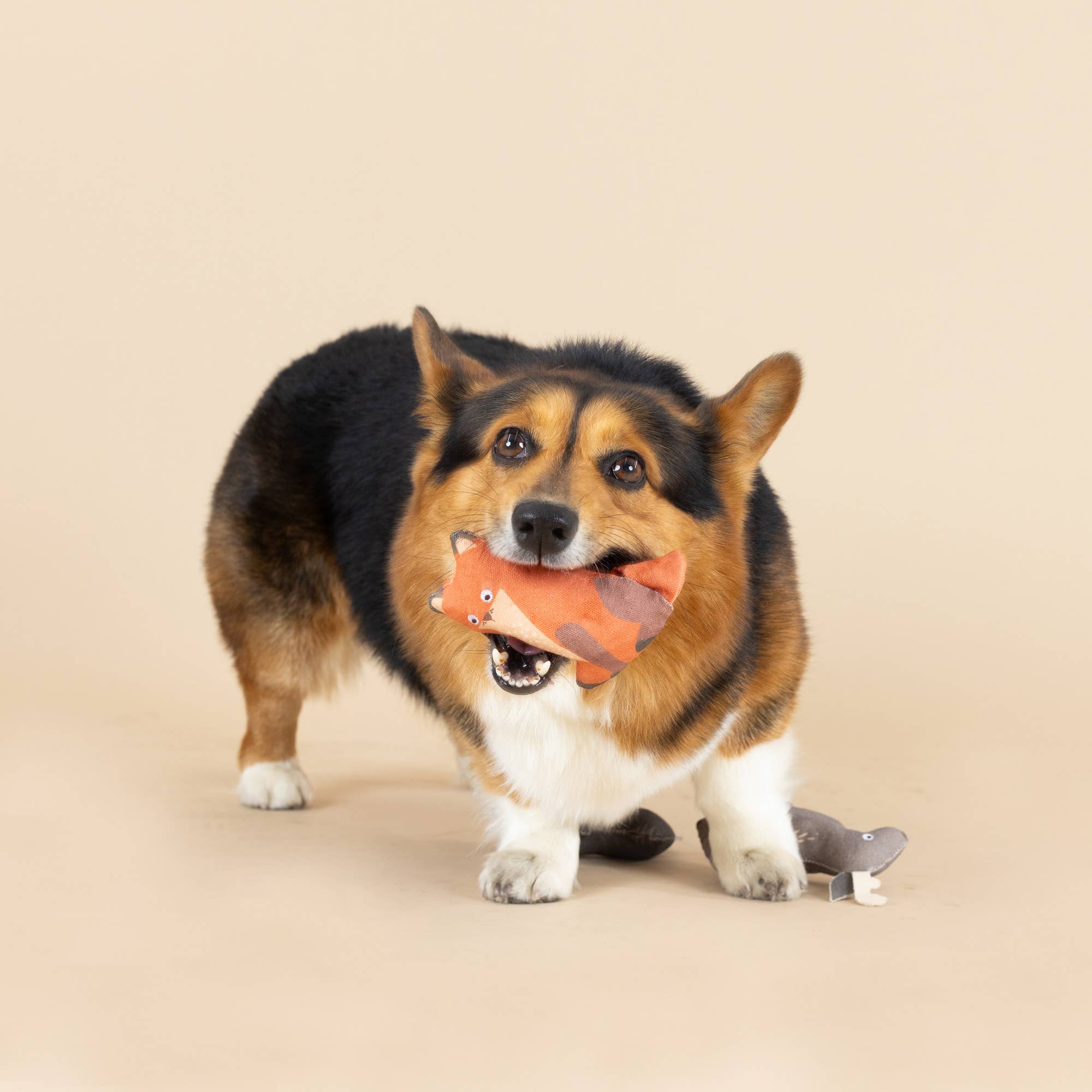 Mini Dog Toys