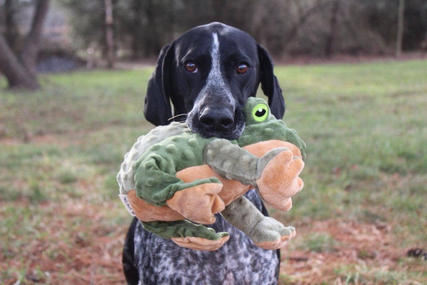 Animated Frog Dog Toy