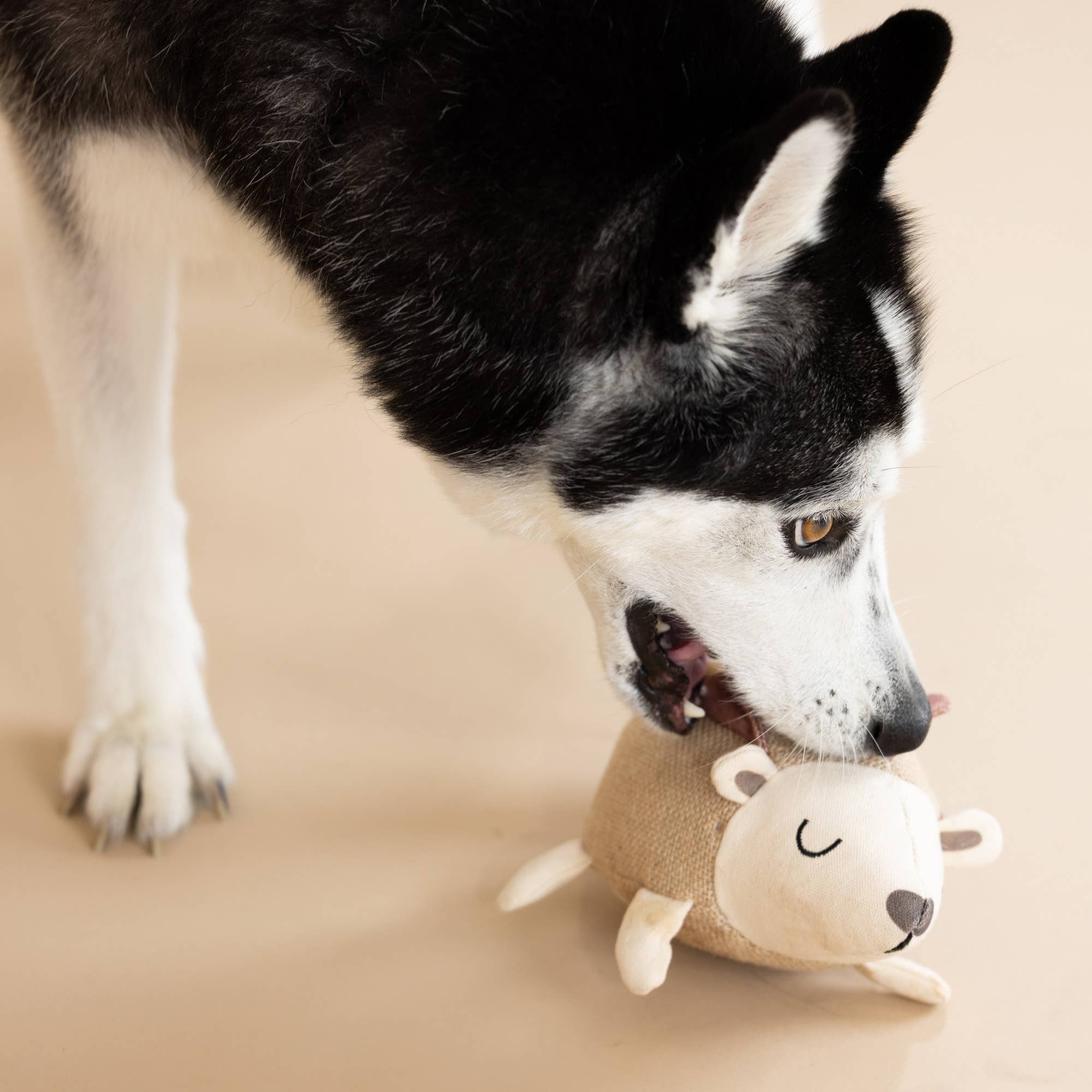 Hedgy Dog Toy