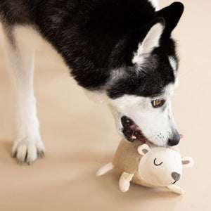 Hedgy Dog Toy