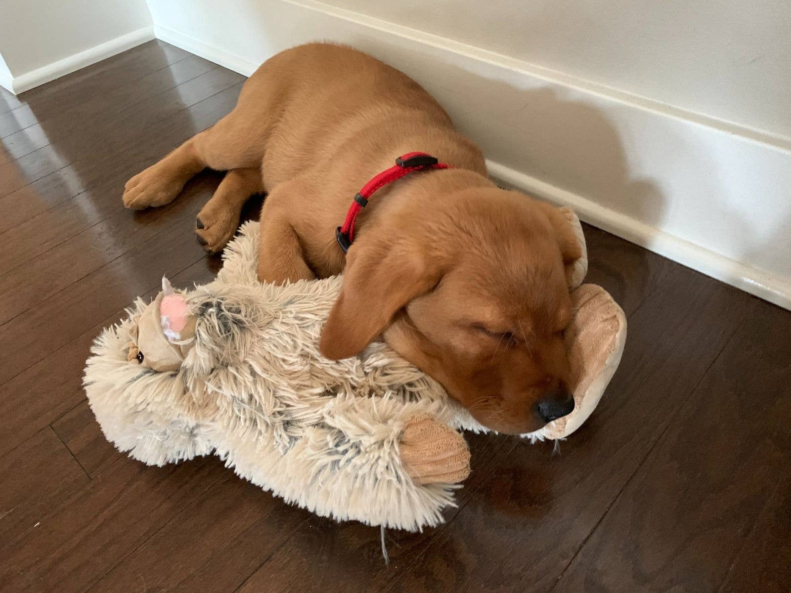 Plush Yeti Dog Toy