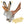 Jackalope Animated Dog Toy