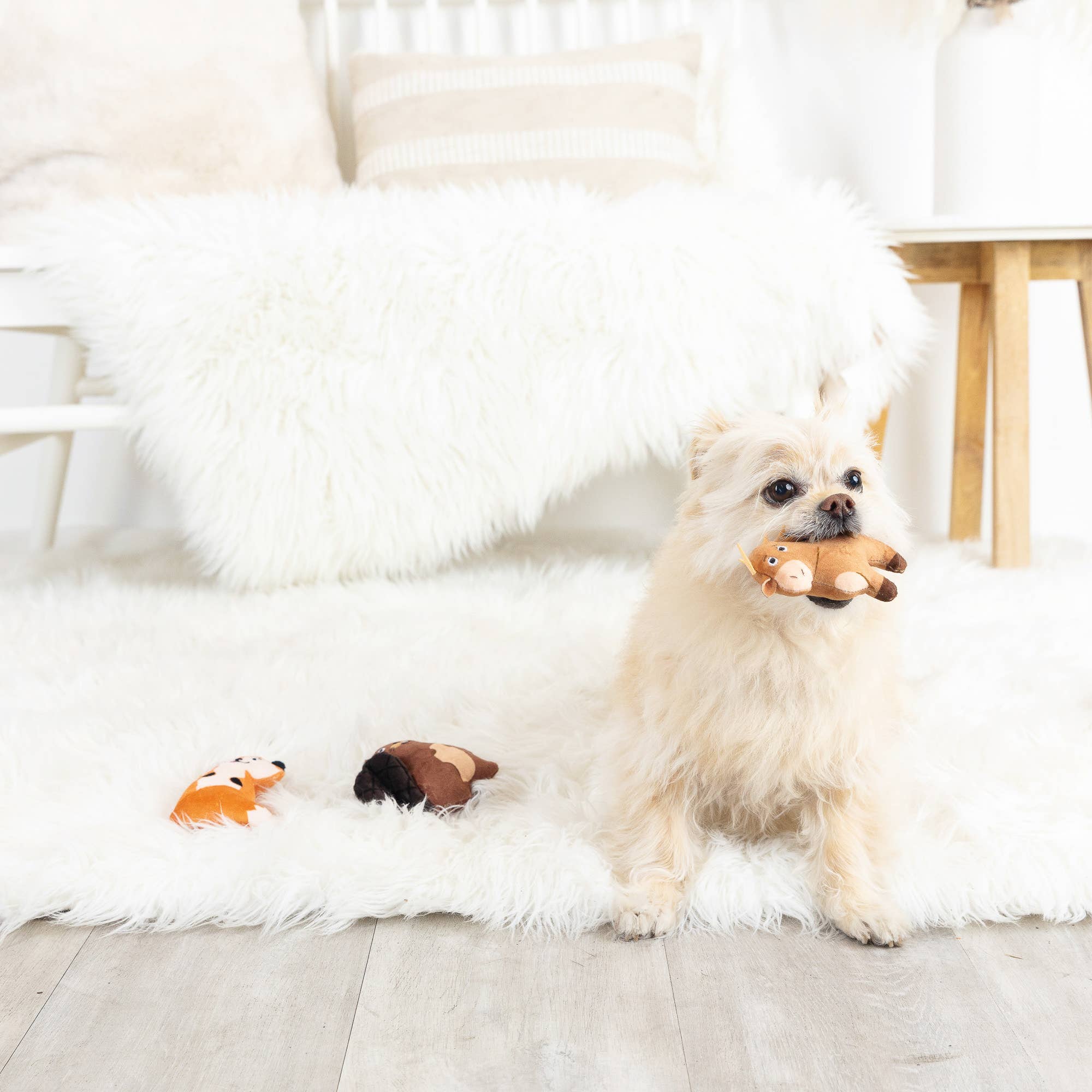 Critters Dog Pack