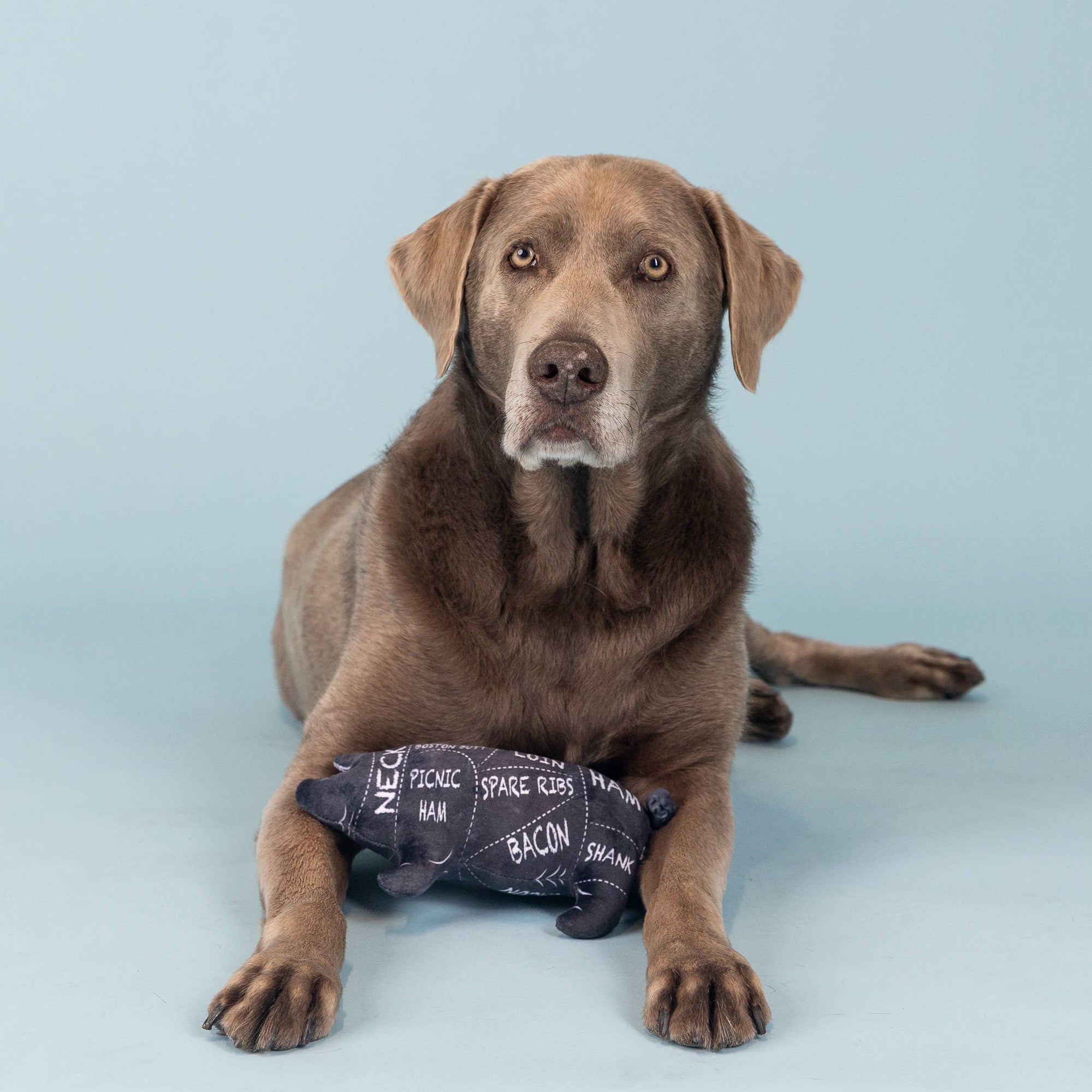 Whole Hog Dog Toy