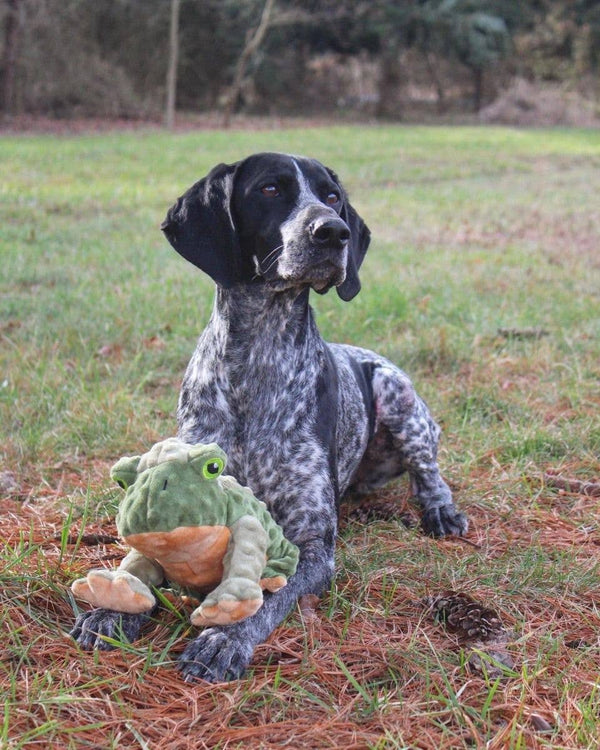 Animated Frog Dog Toy