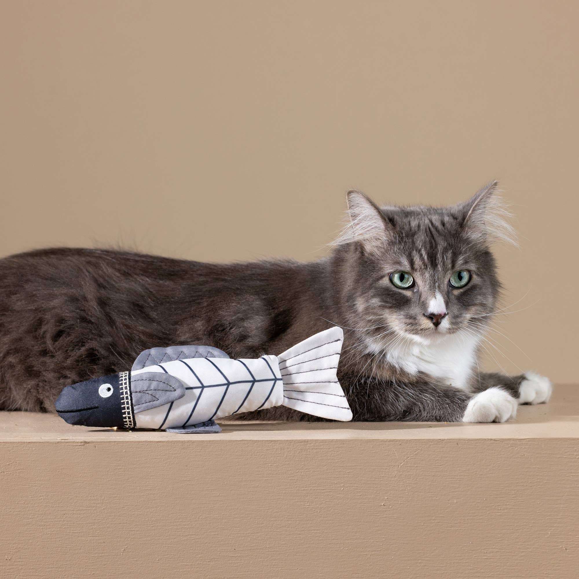 Kicker Cat Toy