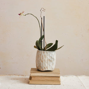 Shore Textured Pot