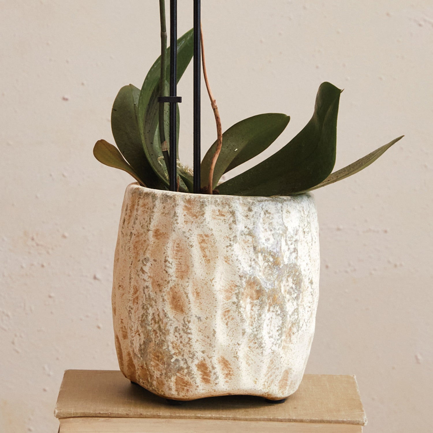 Shore Textured Pot