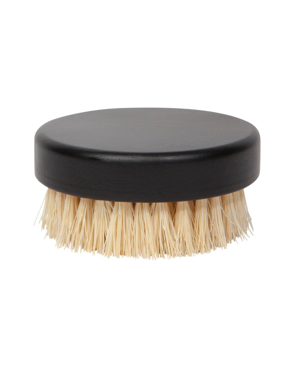 Sisal Palm Dish Brush