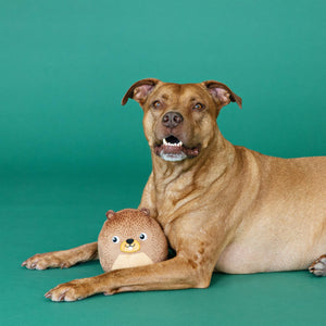 The Dam Boss Dog Toy