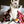 Buffalo Plush w/ Squeaker