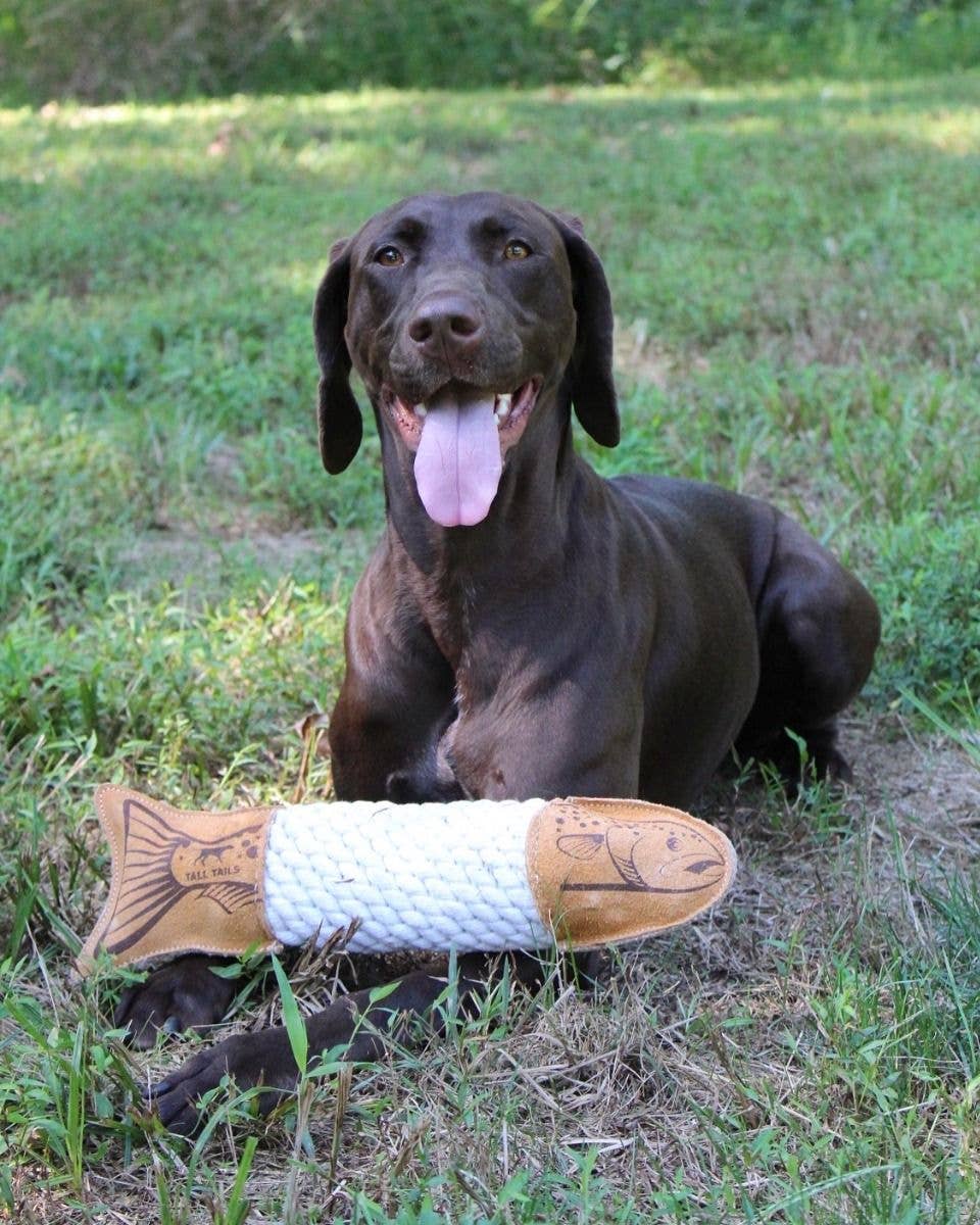 Trout Rope Tug Dog Toy