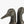 A pair of black cast metal duck head bookends on a white background.