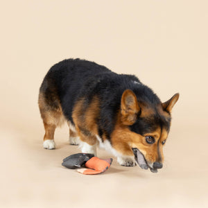 Mini Dog Toys
